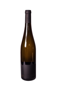 Hibernal, Bilkovi, vino