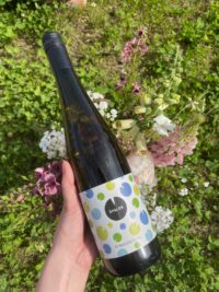 Donauriesling, Špalek - Image 2