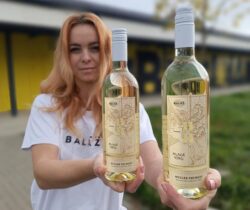 Mladé víno Müller Thurgau, Baláž